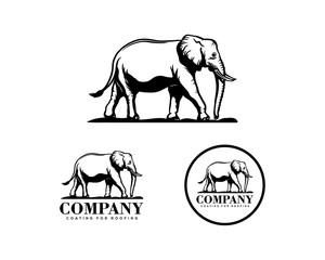 Cute and Strong Elephant Animal Illustration Hand Drawing Symbol Vintage Circle Logo Vector Set