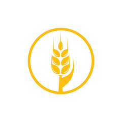 Agriculture wheat Logo Template vector icon design. emblem and label design