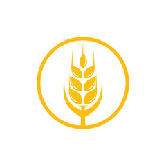 Agriculture wheat Logo Template vector icon design. emblem and label design