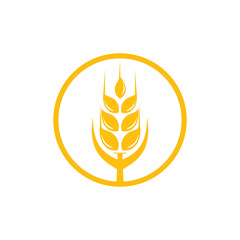 Agriculture wheat Logo Template vector icon design. emblem and label design