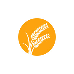 Agriculture wheat Logo Template vector icon design. emblem and label design