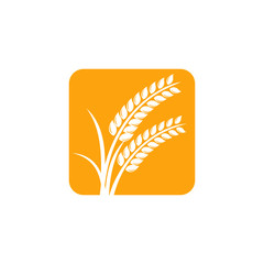 Agriculture wheat Logo Template vector icon design. emblem and label design