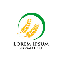 Agriculture wheat Logo Template vector icon design. emblem and label design