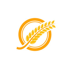 Agriculture wheat Logo Template vector icon design. emblem and label design