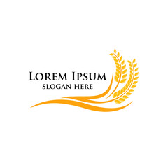Agriculture wheat Logo Template vector icon design. emblem and label design