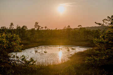 Great Kemeri bog (Lielais Kemeru tirelis) in sunny autumn day, Latvia