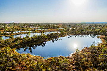 Obraz premium Great Kemeri bog (Lielais Kemeru tirelis) in sunny autumn day, Latvia