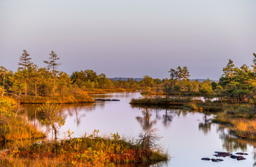 Great Kemeri bog (Lielais Kemeru tirelis) in sunny autumn day, Latvia