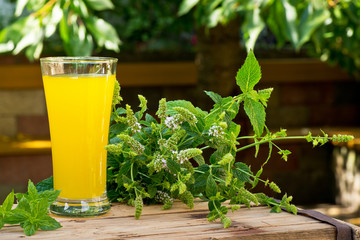 Glass of Juice with Peppermint in the Garden.