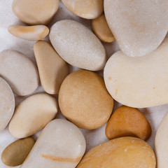 Fototapeta na wymiar pebbles. clean white brown black pebbles isolated. the pebbles are on white or brown sand. small and large are visible