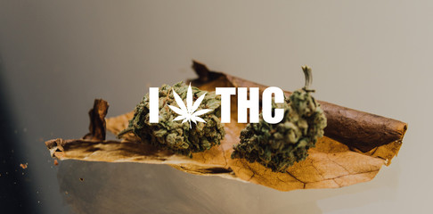 weed blunt close-up..two buds of marijuana lying on a cigarette sheet