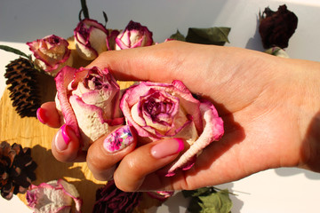 Pink dried roses in the hand, purple background, represent of the heart broken, lost or disappoint