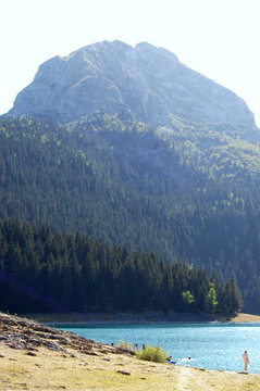 Fototapeta Forest and mountains at the foot of Black lake in Durmitor national Park in Montenegro.
