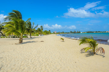 Paradise beach in Placencia, tropical coast of Belize, Caribbean Sea, Central America.