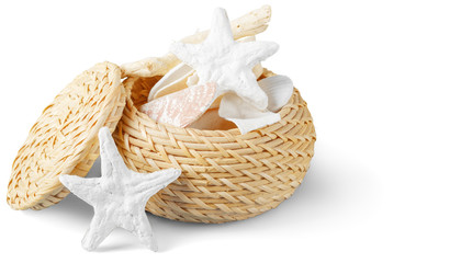 decorational sea shells isolated over the white background