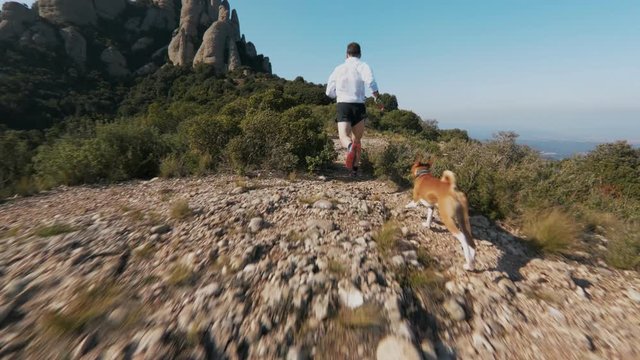 Slow motion following shot of professional athlete or trail runner during race, workout or training for marathon in epic mountains or national park with best friend pet, partner in crime