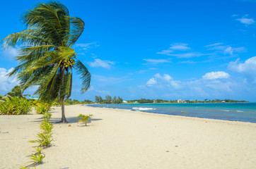 Paradise beach in Placencia, tropical coast of Belize, Caribbean Sea, Central America.