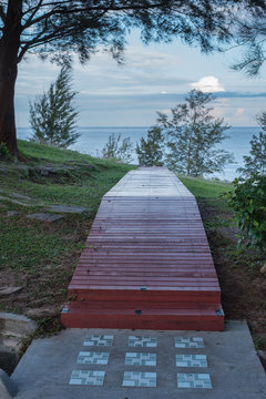 wood walk parth toward sea.