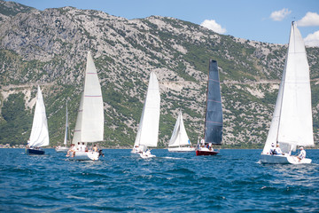 Fototapeta premium sailboats during the regatta Fashinada Cup, Perast, Montenegro