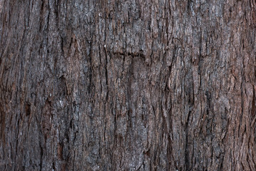 wood skins texture for background.