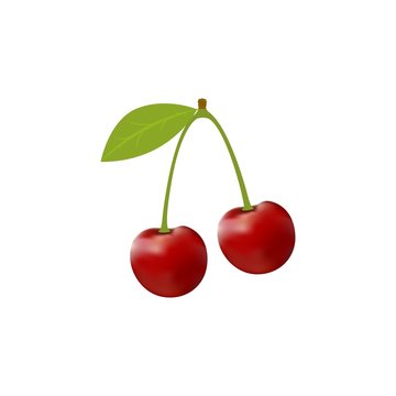 Two red Cherry and green sheet. Sweet fruit icons 3d set. Flat isolated vector illustration on a white background. Realistic image