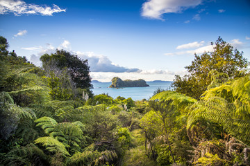 Overlooking the Pacific Ocean as the sun sets spectacularly over Cathedral Cove on the Coromandel Peninsula on the North Island of New Zealand near Auckland.