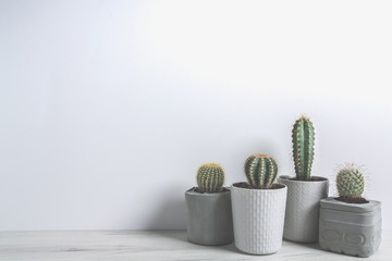 Four cactuses in concrete diy pots on a white wall background with low contrast