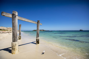 Breathtakingly clear water and white sand on a picturesque summer afternoon in Hamelin Bay, Western Australia.