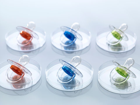 Scientific Cloning, A series of modified babies illustrated by baby soothers in petri dishes