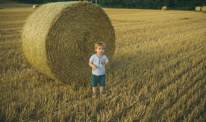 Naklejka na ściany i meble Adorable little kid boy having fun with hay bales