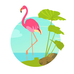 Pink flamingo standing in water on one leg. Exotic bird made in flat style. Summer time vacation concept. Vector illustration.