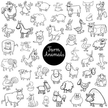 farm animal characters set color book