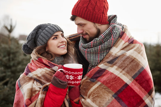 Romantic young couple wrapped in blanket while shopping for christmas tree from forest