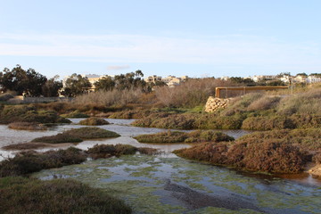 Fototapeta na wymiar Mediterranean Marshy wetland countryside 