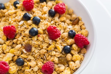 Bowl of Granola, Blueberries and Raspberries