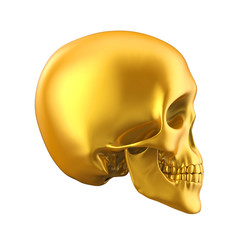 Golden Human Skull Isolated