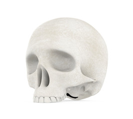 Human Skull Isolated