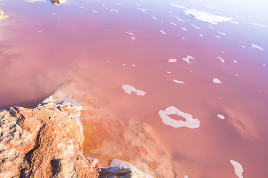 Beautiful Pink Salt Lake Laguna Scenery with Small Rocks Blue Purple Magenta Color Gradient. Bright Sunlight. Travel Unique Places Wildlife. Wellness Health. Poster Banner Streamer Template - Powered by Adobe