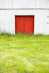 Verde, rojo y blanco