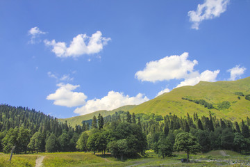 Picturesque natural sunny landscape of green alpine meadows