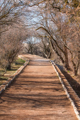 Caminos en la Naturaleza