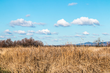 El cielo y la tierra