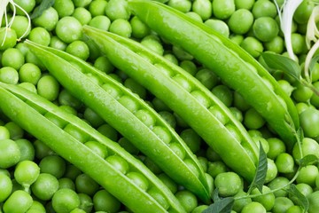 Green Peas in Pods
