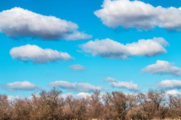 El cielo y la tierra