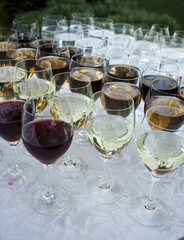  a lot of glasses with wine on holiday