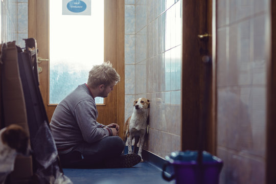 Young dog instructor training dogs with behavioral problem helping them with dog training. Canine Rehabilitation Therapist for dog rehabilitation program for dogs