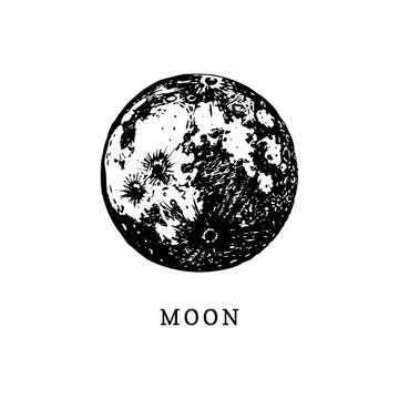 Moon image on white background. Hand drawn vector illustration