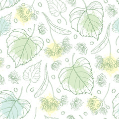 Vector seamless pattern with outline Linden or Tilia or Basswood flower bunch, bract, fruit and ornate leaf in pastel green on the white background. Contour Linden for summer design.