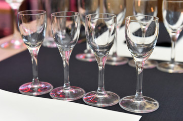 Shots with vodka on the table in restaurant