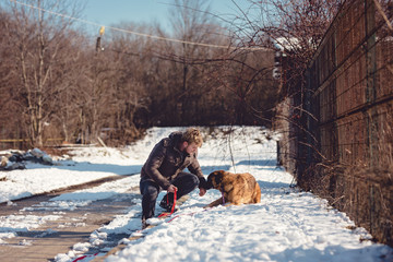 The trainer has a training session with the street dog on the snow, the dog is rewarded when...